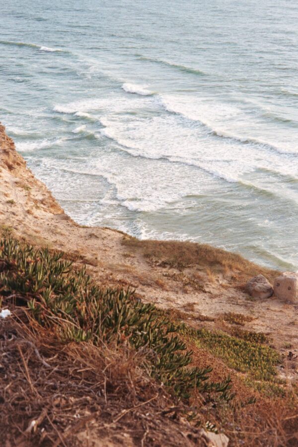 MINT Minolta Riva Zoom 160C*